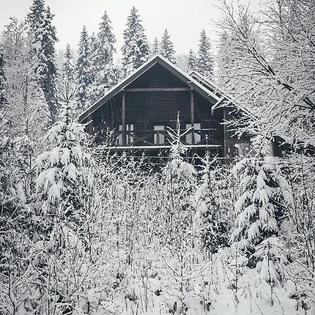 Chalet Shepit Karpat 布克维 外观 照片