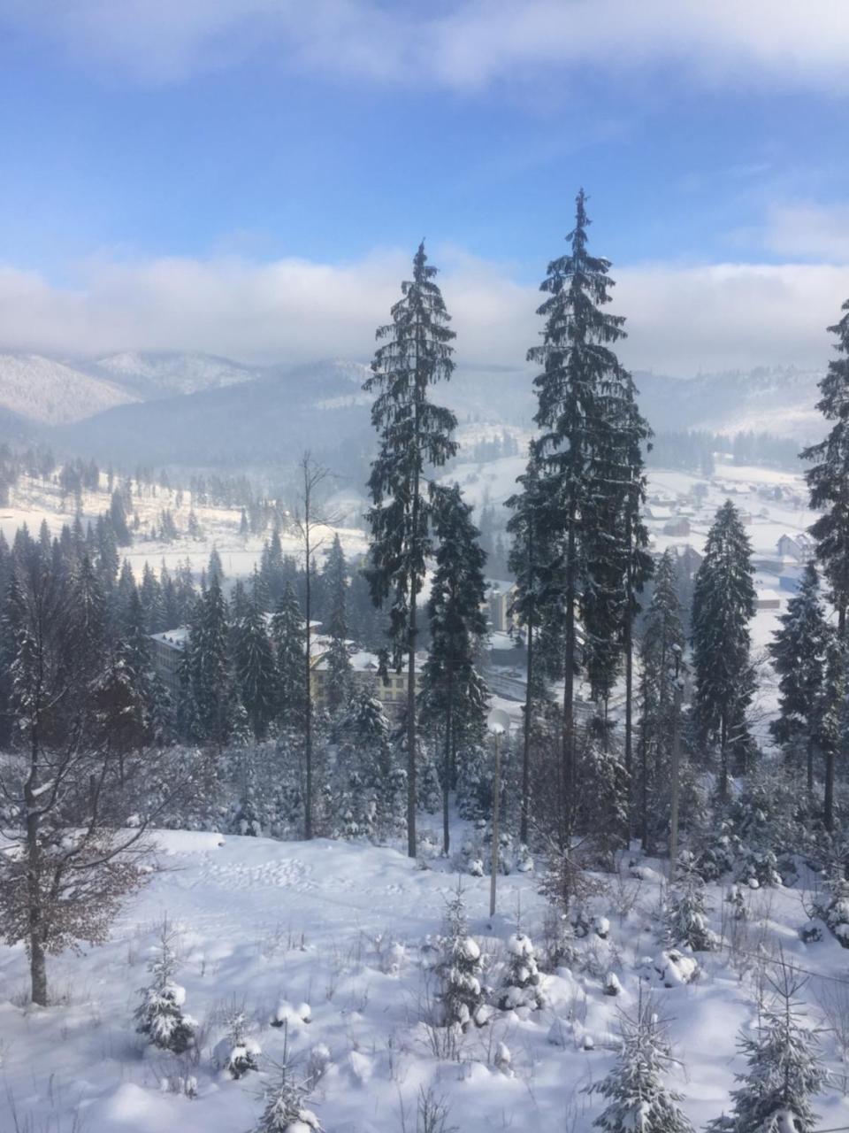 Chalet Shepit Karpat 布克维 外观 照片