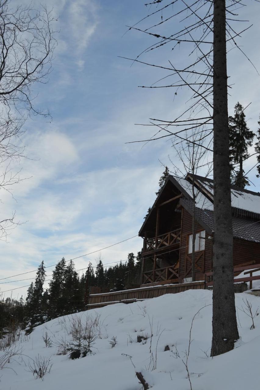 Chalet Shepit Karpat 布克维 外观 照片