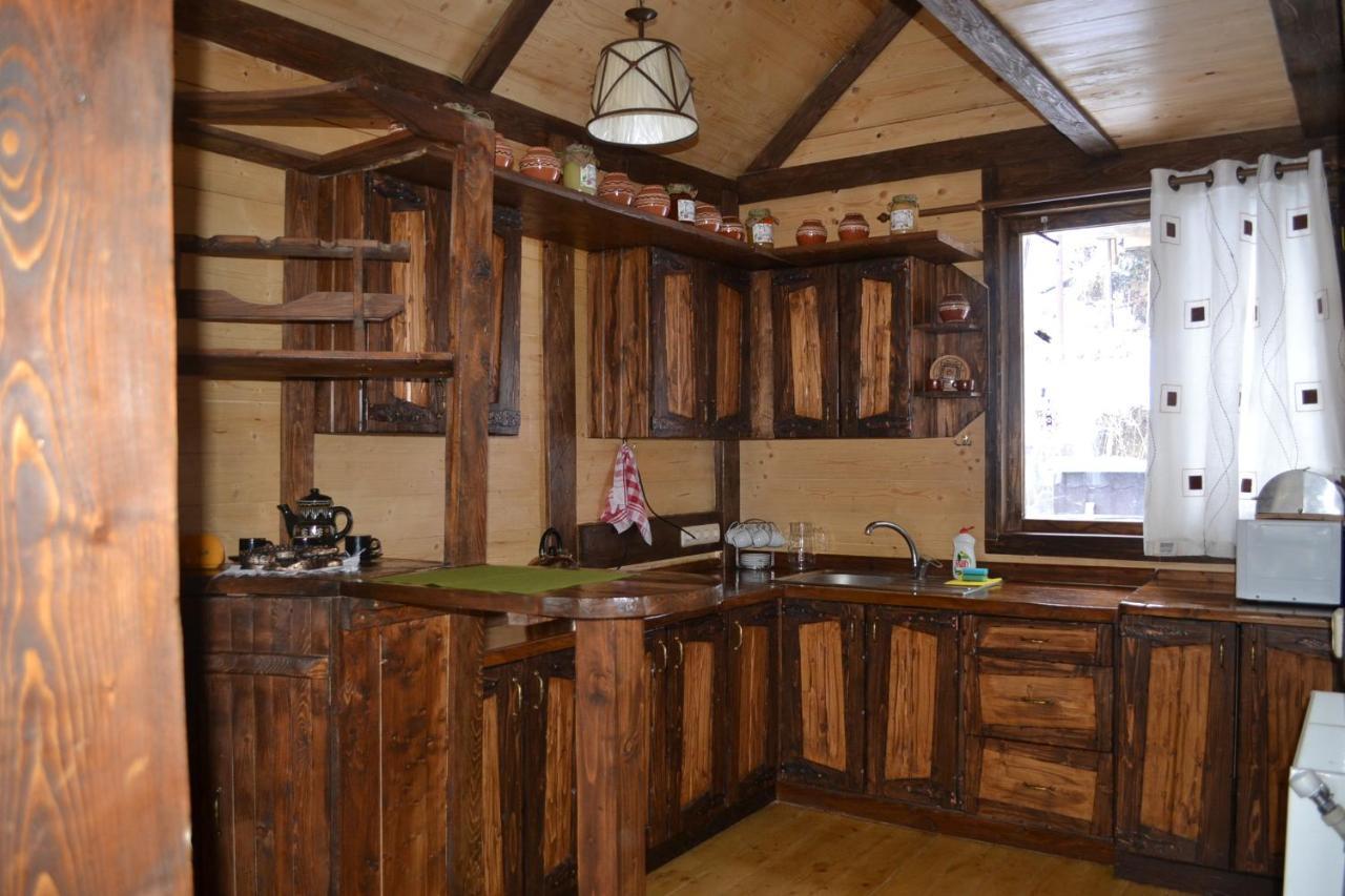 Chalet Shepit Karpat 布克维 外观 照片