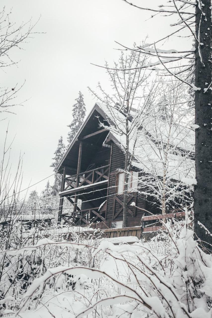 Chalet Shepit Karpat 布克维 外观 照片