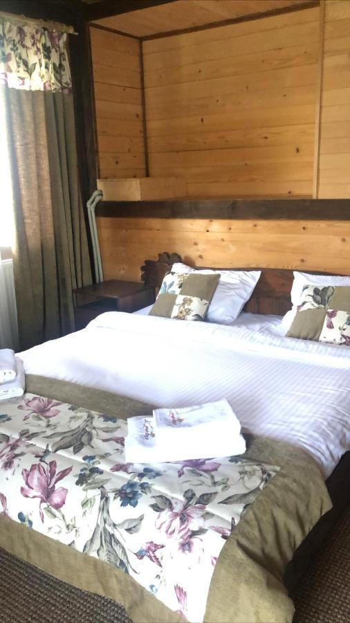 Chalet Shepit Karpat 布克维 外观 照片