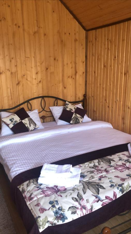 Chalet Shepit Karpat 布克维 外观 照片